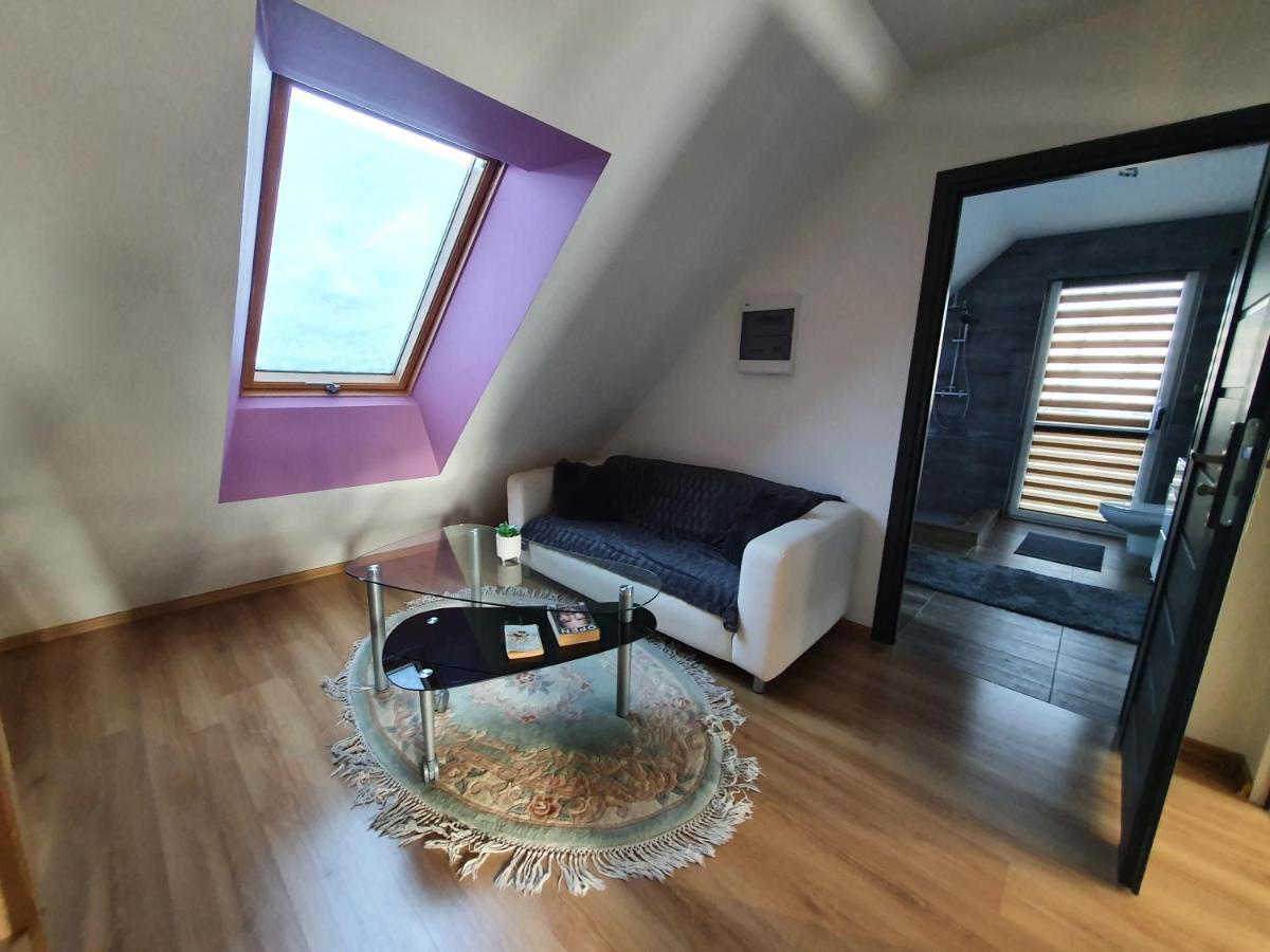 Nowy Dom Apartament Z Widokiem Na Gory 8 Osob Bielsko-Biala Bagian luar foto